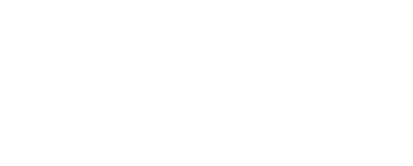 aonak logo
